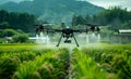 Agriculture drone fly to sprayed fertilizer on the rice fields Royalty Free Stock Photo