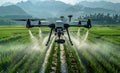 Agriculture drone fly to sprayed fertilizer on the rice fields Royalty Free Stock Photo