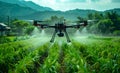 Agriculture drone fly to sprayed fertilizer on the rice fields. A drone is flying over the rice field Royalty Free Stock Photo