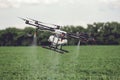 Agriculture drone fly to sprayed fertilizer on the rice fields. Royalty Free Stock Photo