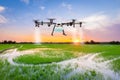 Agriculture drone fly to sprayed fertilizer on the rice fields at twilight scene Royalty Free Stock Photo