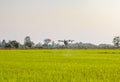 Agriculture drone operation rice field background