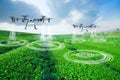 Agriculture drone scanning area to sprayed fertilizer on green tea fields, Technology smart farm 4.0 concept