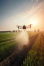 Agriculture drone spraying fertilizer on rice field. Agricultural technology concept