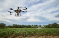 Agriculture drones fly on corn fields