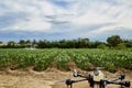 Agriculture drones fly on corn fields