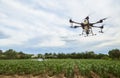 Agriculture drones fly on corn fields