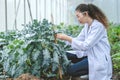 Agriculture Entomology pest insects research science working people, Plant scientist smart woman work in farm garden glasshouse Royalty Free Stock Photo