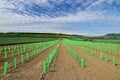 Agriculture farm land landscape