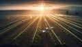 Agriculture, farm, nature, rural scene, industry, sunset, outdoors, plant, landscape, sun generated by AI