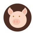 Agriculture farm pig animal head cartoon block and flat icon Royalty Free Stock Photo