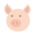 Agriculture farm pig animal head cartoon flat icon style Royalty Free Stock Photo