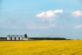 Agriculture farm silo yellow Royalty Free Stock Photo