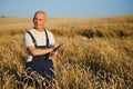 Agriculture, farmer or agronomist inspect quality of wheat in field ready to harvest