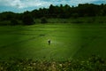 Agriculture farmer of Asia rice field work concept. Agriculture farmer in rural work in farm with sunset