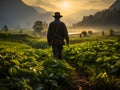 Agriculture farmers in paddy rice fields and river view with foggy mornings. Greenery view in the morning with sunrise