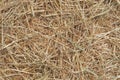 Agriculture farming background texture gold straw organic hay