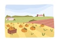 Agriculture and farming, field with pumpkins