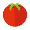 Agriculture and farming harvest tomato vegetable flat icon style