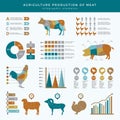 Agriculture farming infographic. Food animals farm technology nutrition business infographic template table chart with