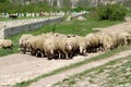 Agriculture and farming Moldova