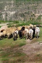 Agriculture and farming Moldova