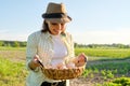 Woman farmer holding basket of fresh eggs, nature, garden, countryside background Royalty Free Stock Photo