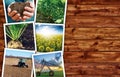 Agriculture and farming photo collage Royalty Free Stock Photo