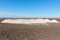 Agriculture fertilizer in soybean field.