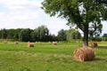 Agriculture field