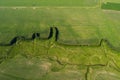 Agriculture field aerial photo - Landscapes drone photo