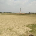 Agriculture field and bricks production unit with high rate in madhubani India