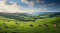 agriculture field of cows Royalty Free Stock Photo