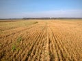 Agriculture field drone photography of cut crops Royalty Free Stock Photo