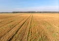 Agriculture field drone photography of cut crops Royalty Free Stock Photo