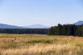 Agriculture field, forest and mountains