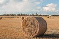 Agriculture field with hay bale and blue sky. Rural nature in the farm land. Straw on the meadow. Wheat yellow golden harvest in Royalty Free Stock Photo