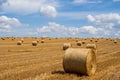 Agriculture field with hay bales. Rural nature in the farm land