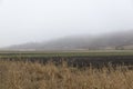 Fresh plowed agriculture field and a grain field at the edge of a forest 