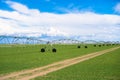 Agriculture Field Irrigation System Royalty Free Stock Photo