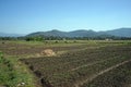 agriculture field of norh of Thailand with variety of crops