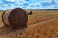 Agriculture field with sky. Rural nature in the farm land. Straw on the meadow. Wheat yellow golden harvest in summer Royalty Free Stock Photo