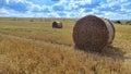 Agriculture field with sky. Rural nature in the farm land. Straw on the meadow. Wheat yellow golden harvest in summer Royalty Free Stock Photo