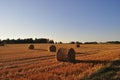 Agriculture field with straw rolls in evening light Royalty Free Stock Photo