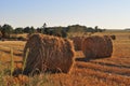 Agriculture field with straw rolls Royalty Free Stock Photo