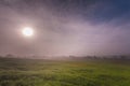 Agriculture field with thick mists of fog at the crack of dawn Royalty Free Stock Photo