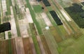 Agriculture fields