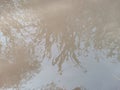 Agriculture fields shade in water