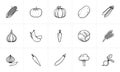 Agriculture food sketch icon set.