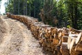 Harvest of timber. Agriculture and forestry theme. Royalty Free Stock Photo